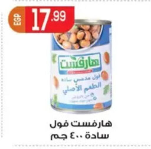 available at El mhallawy Sons in Egypt - Cairo