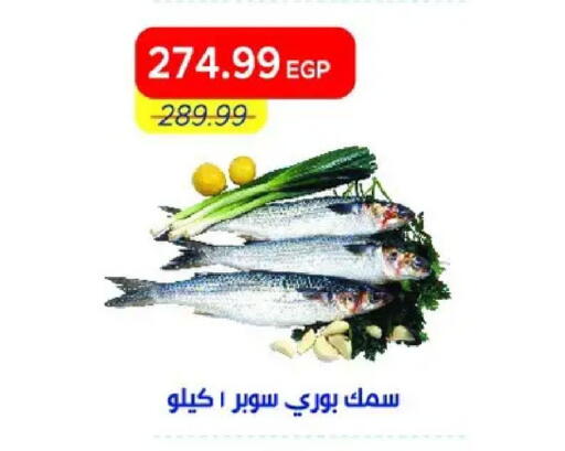 available at مترو ماركت in Egypt - القاهرة