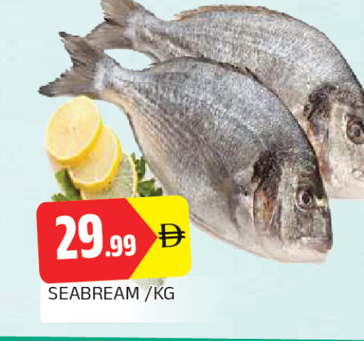 available at AL MADINA in UAE - Sharjah / Ajman