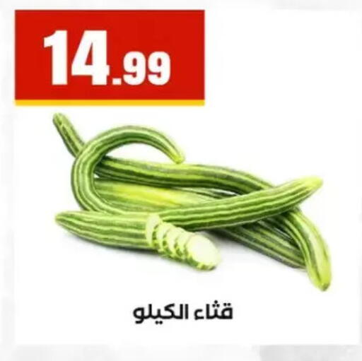 available at المحلاوي ستورز in Egypt - القاهرة
