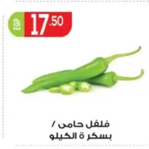 available at El mhallawy Sons in Egypt - Cairo