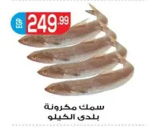 available at El mhallawy Sons in Egypt - Cairo