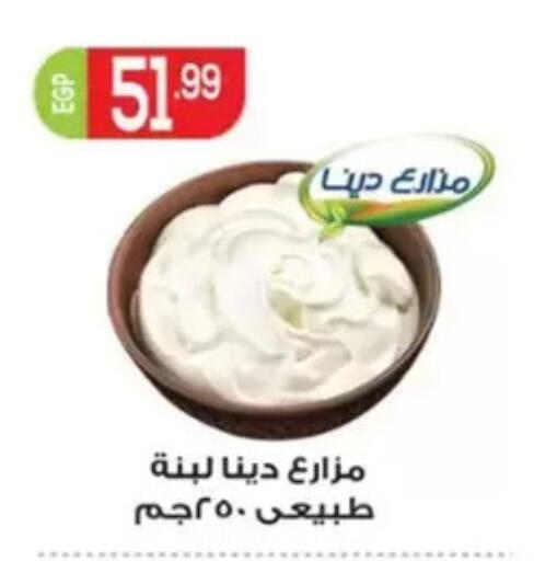 available at El mhallawy Sons in Egypt - Cairo