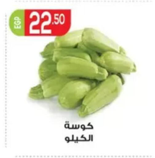 available at El mhallawy Sons in Egypt - Cairo