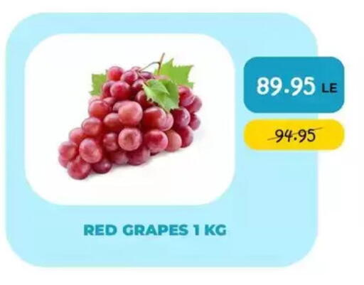 Grapes available at Point Market  in Egypt - Cairo