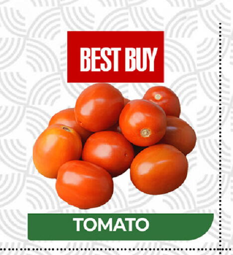 Tomato available at  RIVIERA SUPERMARKET L.L.C in UAE - Abu Dhabi