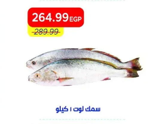 available at مترو ماركت in Egypt - القاهرة