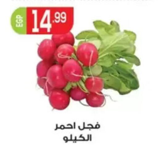 available at El mhallawy Sons in Egypt - Cairo