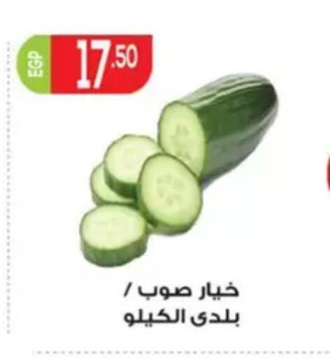 available at El mhallawy Sons in Egypt - Cairo