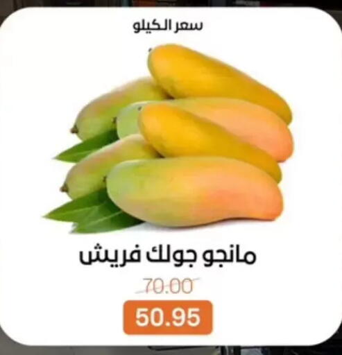 available at بيت الجملة in Egypt - القاهرة