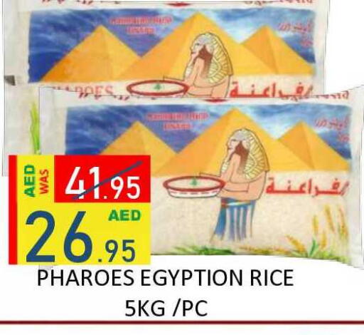 available at رويال جلف هايبرماركت in الإمارات العربية المتحدة , الامارات - أبو ظبي