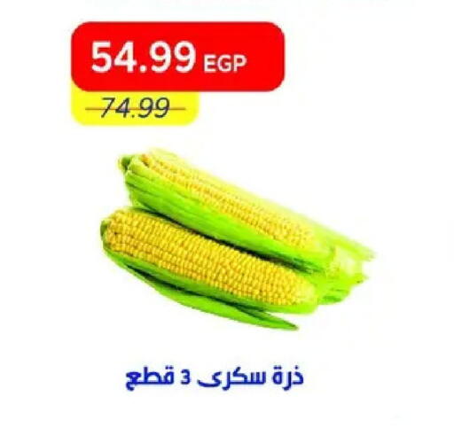 available at مترو ماركت in Egypt - القاهرة