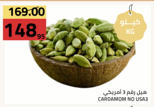 Cardamom available at أسواق أسترا in مملكة العربية السعودية, السعودية, سعودية - تبوك