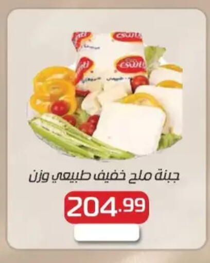 available at New.Penny.market in Egypt - Cairo