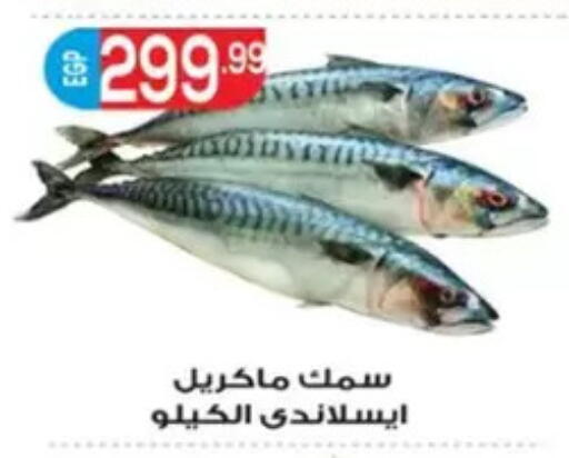 available at El mhallawy Sons in Egypt - Cairo