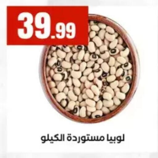available at المحلاوي ستورز in Egypt - القاهرة
