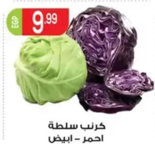 available at El mhallawy Sons in Egypt - Cairo