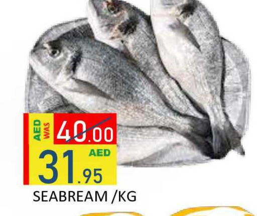 available at رويال جلف هايبرماركت in الإمارات العربية المتحدة , الامارات - أبو ظبي