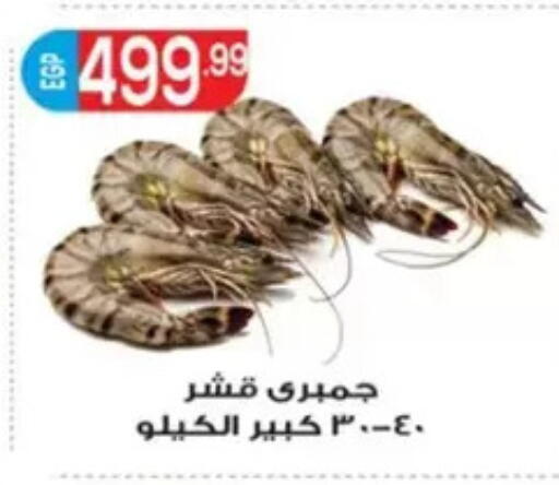 available at El mhallawy Sons in Egypt - Cairo