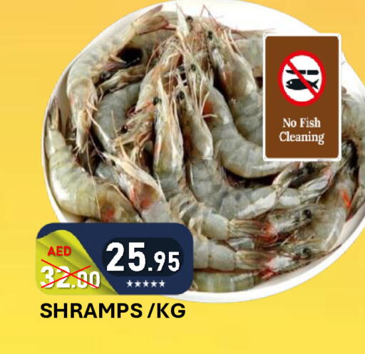 available at رويال جلف هايبرماركت in الإمارات العربية المتحدة , الامارات - أبو ظبي