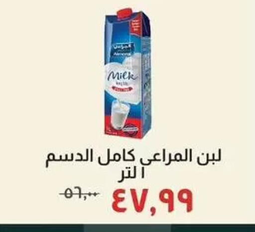 available at Kheir Zaman  in Egypt - Cairo