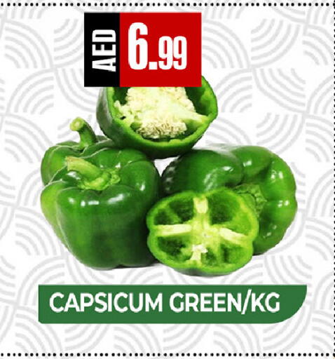 Capsicum available at  RIVIERA SUPERMARKET L.L.C in UAE - Abu Dhabi