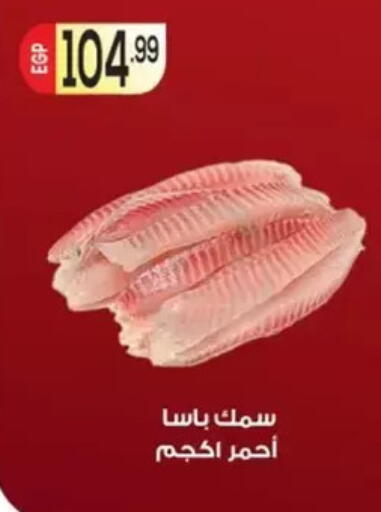 available at أولاد المحاوى in Egypt - القاهرة