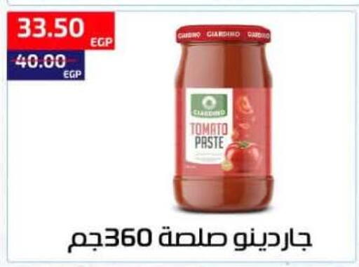 Tomato available at Al-Allaf Market in Egypt - Cairo