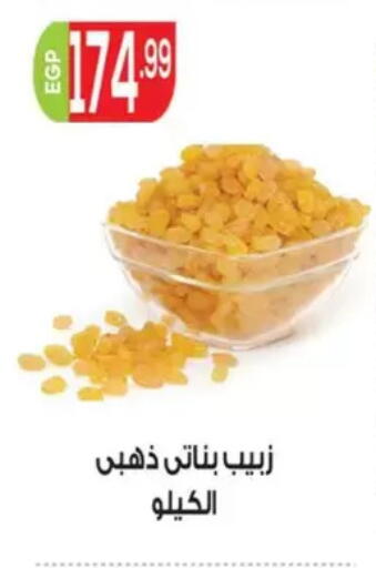 available at أولاد المحاوى in Egypt - القاهرة