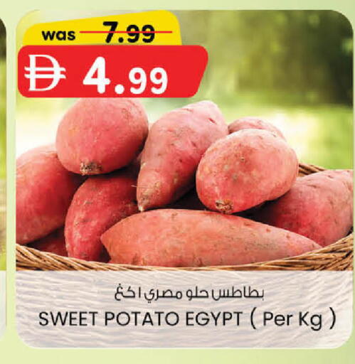 Sweet Potato from Egypt available at ك. الم. للتجارة in الإمارات العربية المتحدة , الامارات - أبو ظبي
