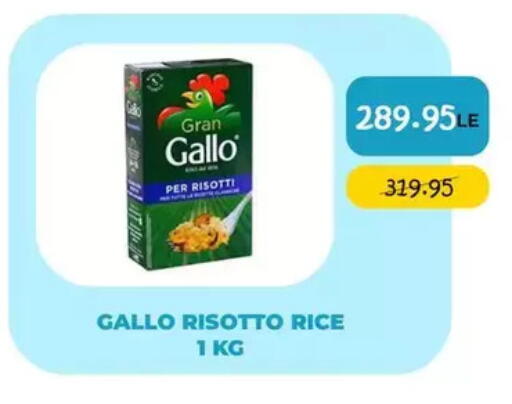 available at Point Market  in Egypt - Cairo