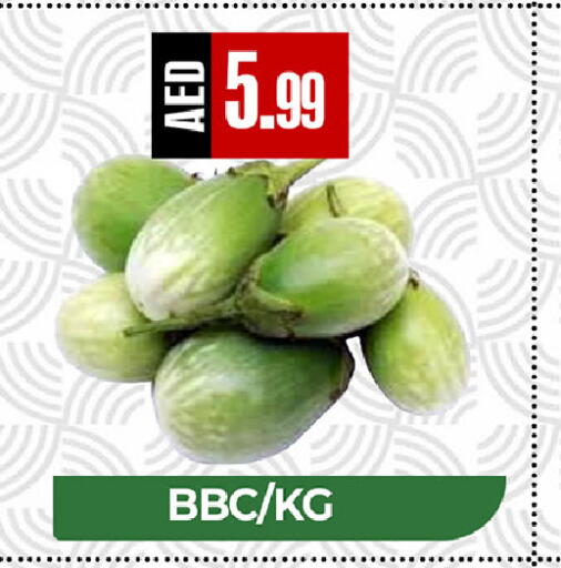 available at  RIVIERA SUPERMARKET L.L.C in UAE - Abu Dhabi