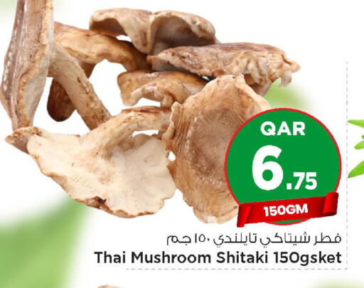 Mushroom available at مارك & سيف in قطر - الضعاين