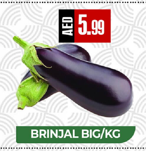 available at  RIVIERA SUPERMARKET L.L.C in UAE - Abu Dhabi