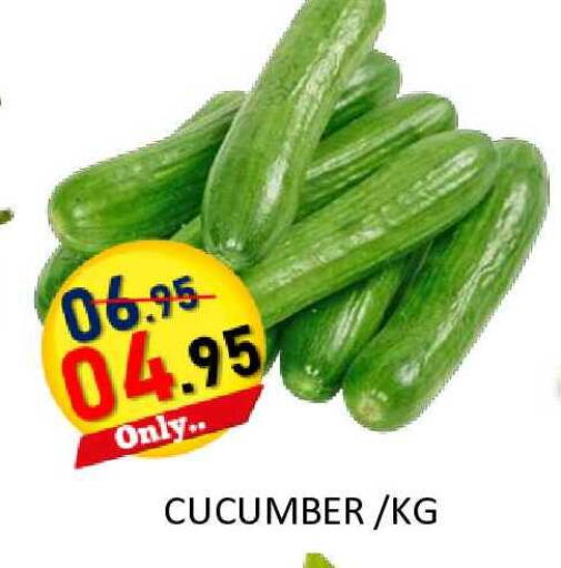 Cucumber available at رويال جلف هايبرماركت in الإمارات العربية المتحدة , الامارات - أبو ظبي