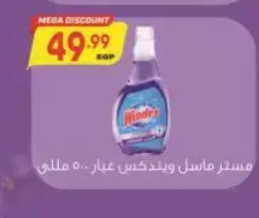 available at New.Penny.market in Egypt - Cairo