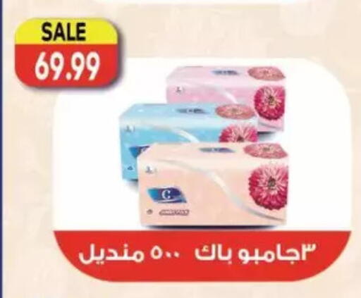 available at New.Penny.market in Egypt - Cairo
