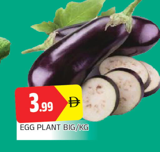 available at AL MADINA in UAE - Sharjah / Ajman