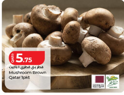 Mushroom from Qatar available at LuLu Hypermarket in Qatar - Al Wakra