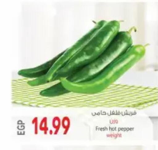 Pepper available at El.Husseini supermarket  in Egypt - Cairo