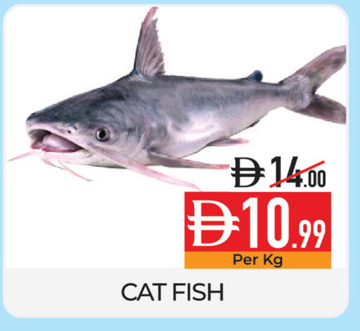 available at Delice Supermarket in UAE - Abu Dhabi