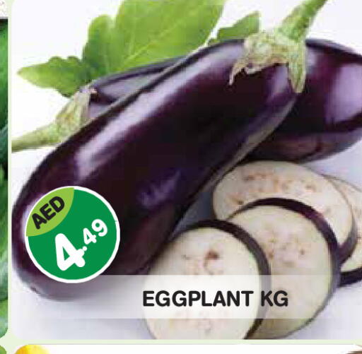 Eggplant available at Baniyas Spike  in UAE - Abu Dhabi