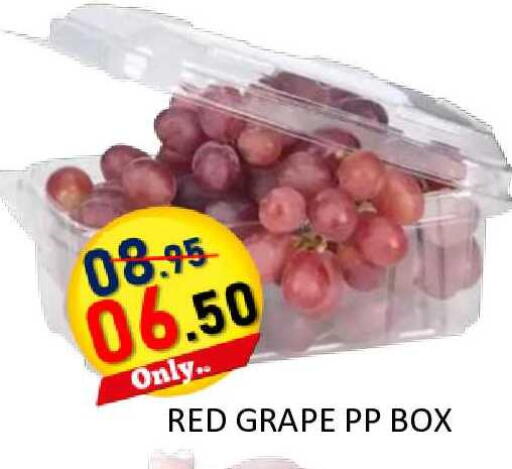 available at رويال جلف هايبرماركت in الإمارات العربية المتحدة , الامارات - أبو ظبي