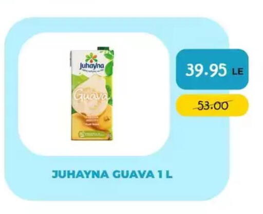 Guava in Egypt - القاهرة