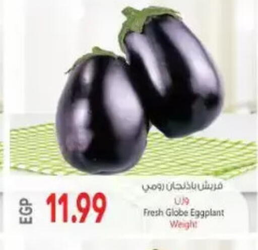 Eggplant available at El.Husseini supermarket  in Egypt - Cairo
