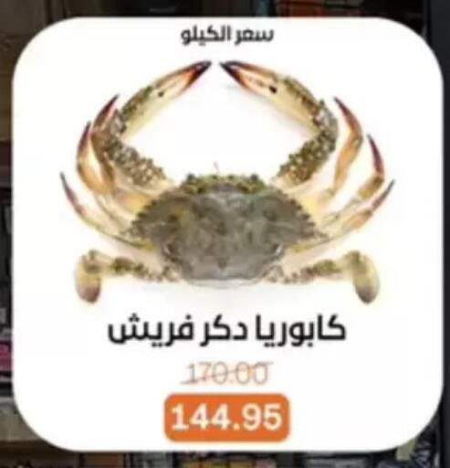 available at Beit El Gomla in Egypt - Cairo