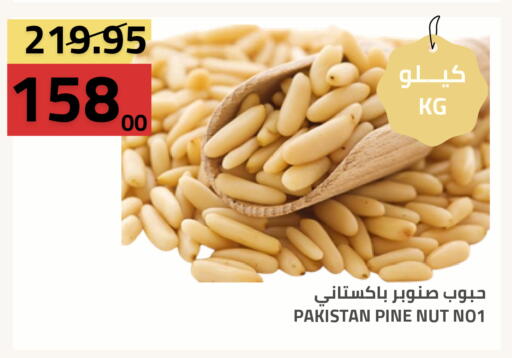 available at أسواق أسترا in مملكة العربية السعودية, السعودية, سعودية - تبوك