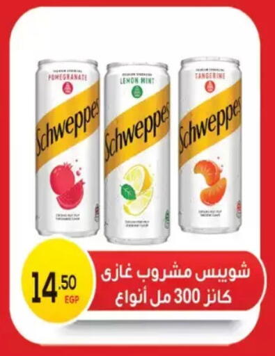 Pomegranate Lemon Mint available at El mhallawy Sons in Egypt - Cairo