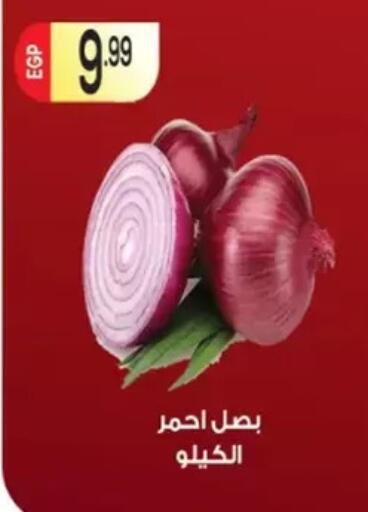 available at El mhallawy Sons in Egypt - Cairo