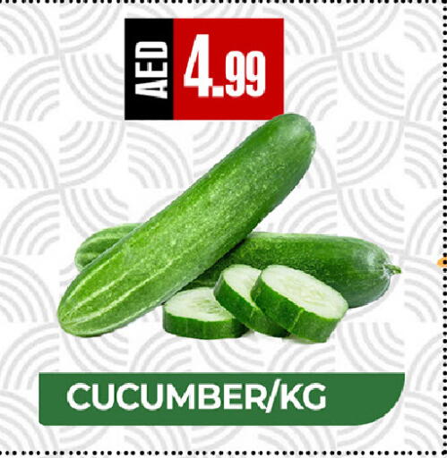 Cucumber available at  RIVIERA SUPERMARKET L.L.C in UAE - Abu Dhabi